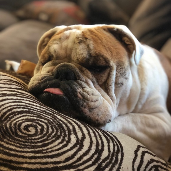 Meet your Posher, Melanie - Picture 5 of 6